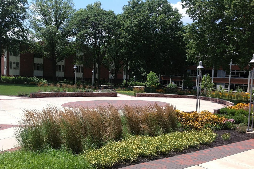 Commercial Lawn Maintenance at Rider University